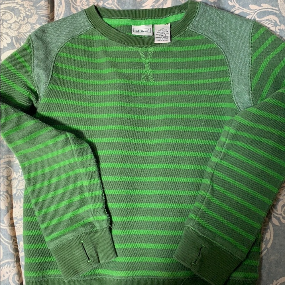 Kids LLBean sweater (light and dark green stripes)